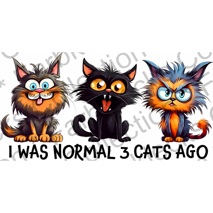 Motivtransfer 1702 I was normal 3 Cats ago