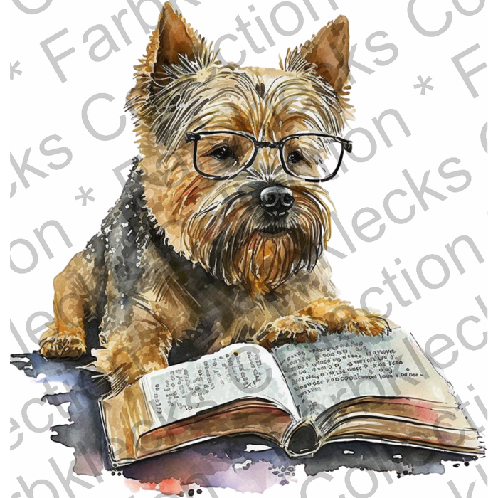 Motivtransfer 2714 Yorkshire Terrier liest ein Buch