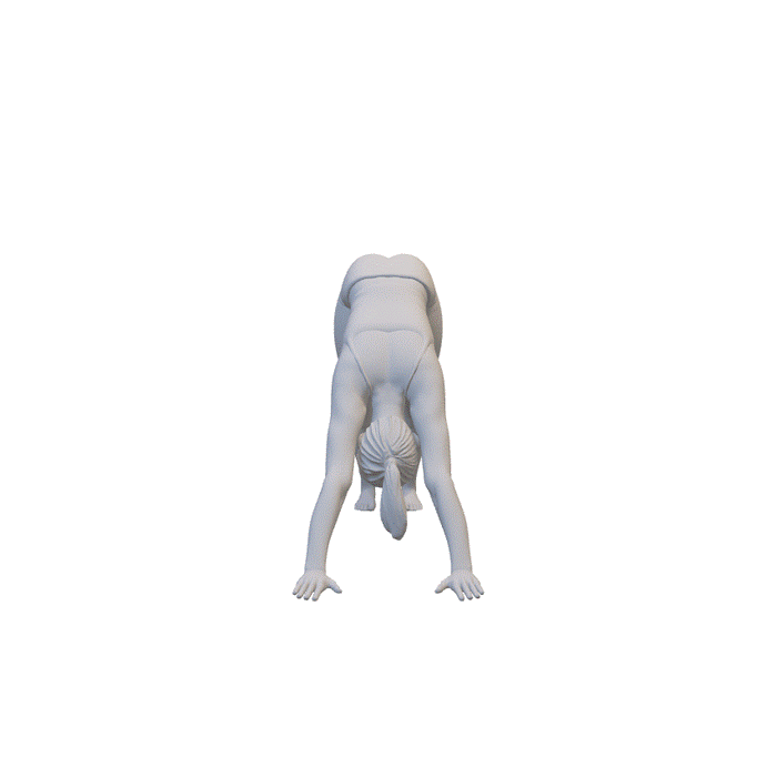 Yoga Pose Dog - (3DP-136)