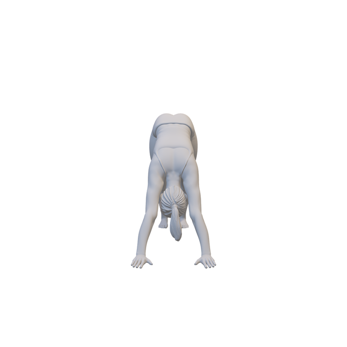 Yoga Pose Dog - (3DP-136)