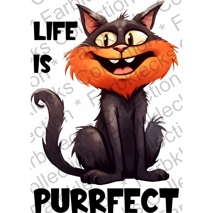 Motivtransfer 1706 Life is purrfect