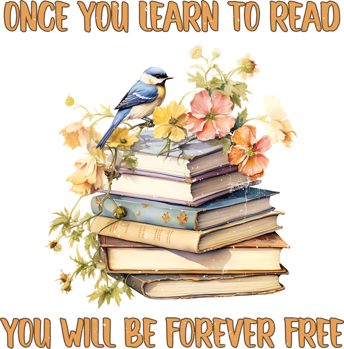 Motivtransfer 2353 One you learn to read you will be forever free