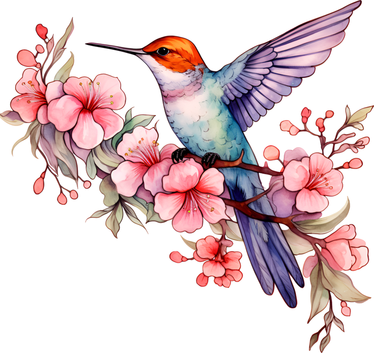 Motivtransfer 2402 Kolibri bunt auf rosa Blüten