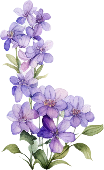 Motivtransfer 2432 Fee Blume