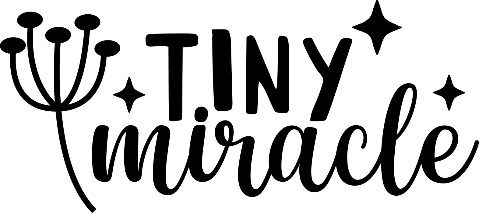 Motivtransfer 2550 tiny miracle