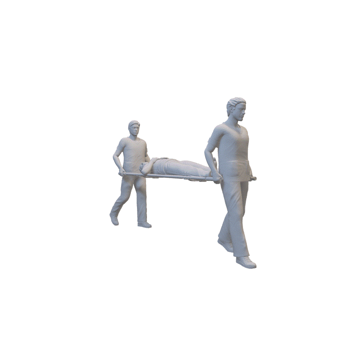 Sanitäter tragen Patienten - (3DP-311)