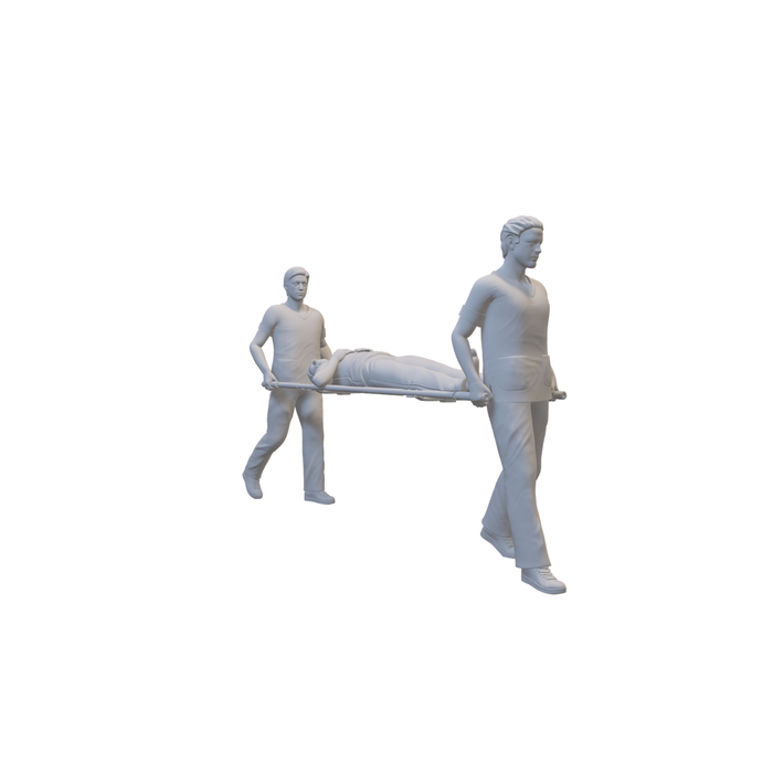 Sanitäter tragen Patienten - (3DP-311)