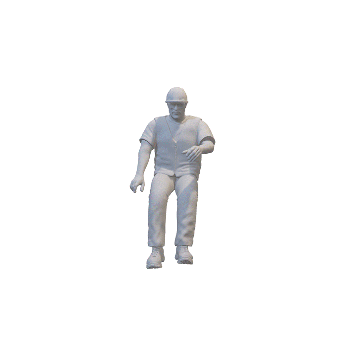 LKW Fahrer - (3DP-325)