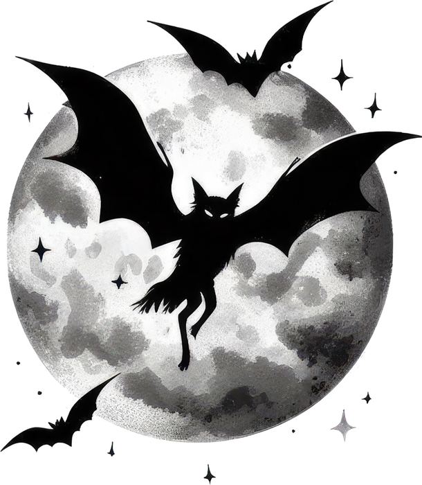 Motivtransfer 4902 Batflyer