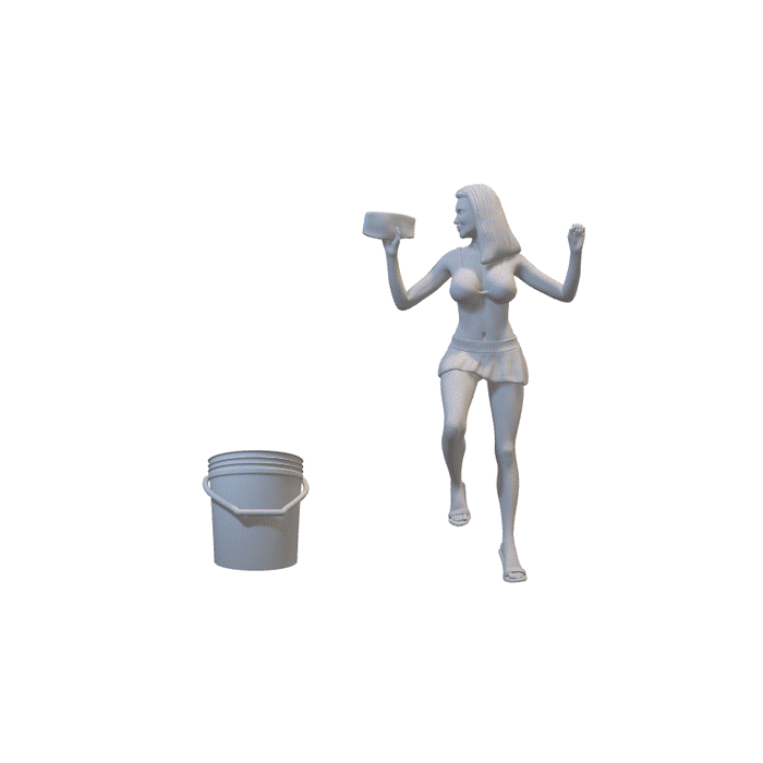 Car Wash Girl - (3DP-66)