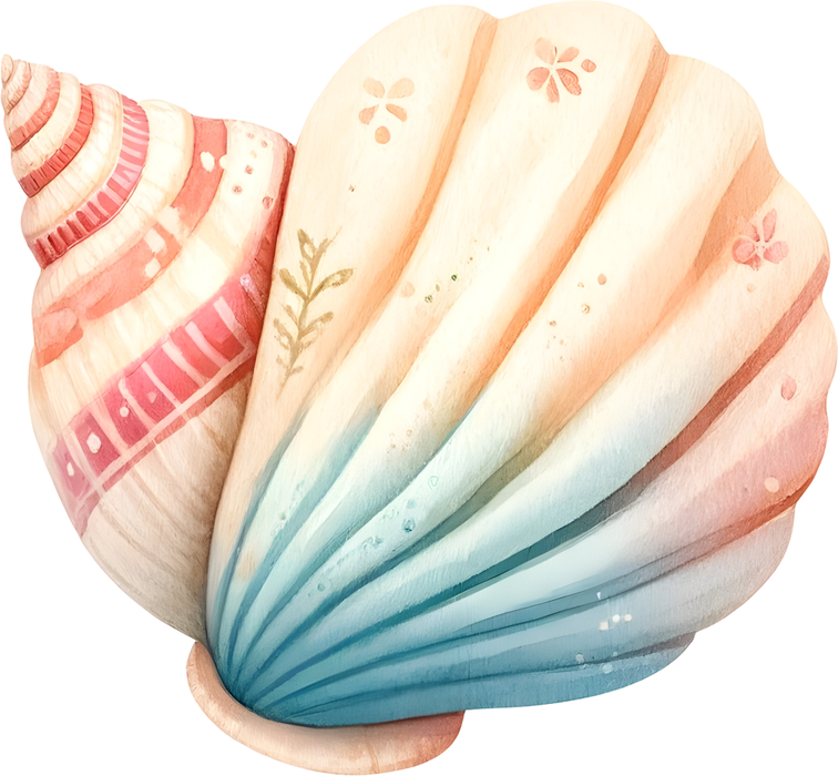 Motivtransfer 6662 Muscheln