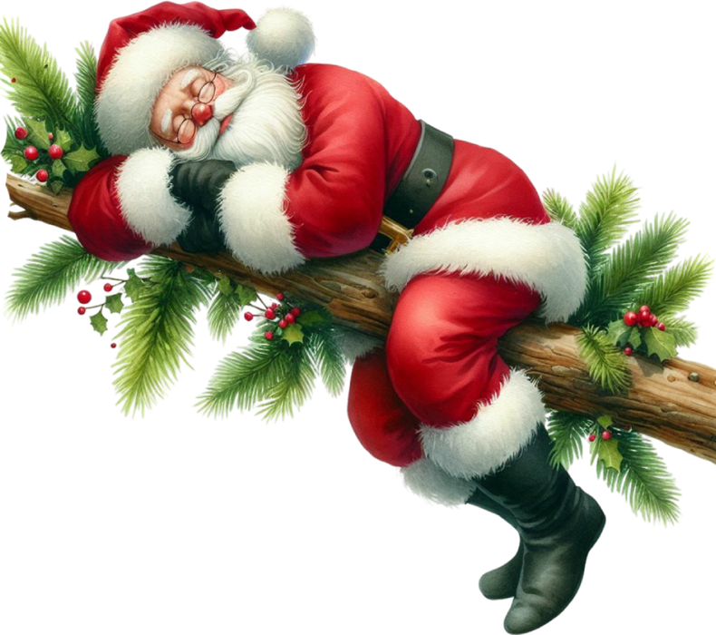 Motivtransfer 8241 Santa schläft auf einem Ast