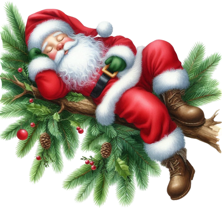 Motivtransfer 8242 Santa schläft auf einem Ast
