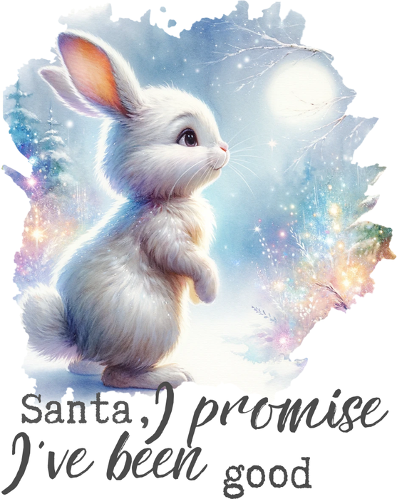 Motivtransfer 8943 Santa i promise