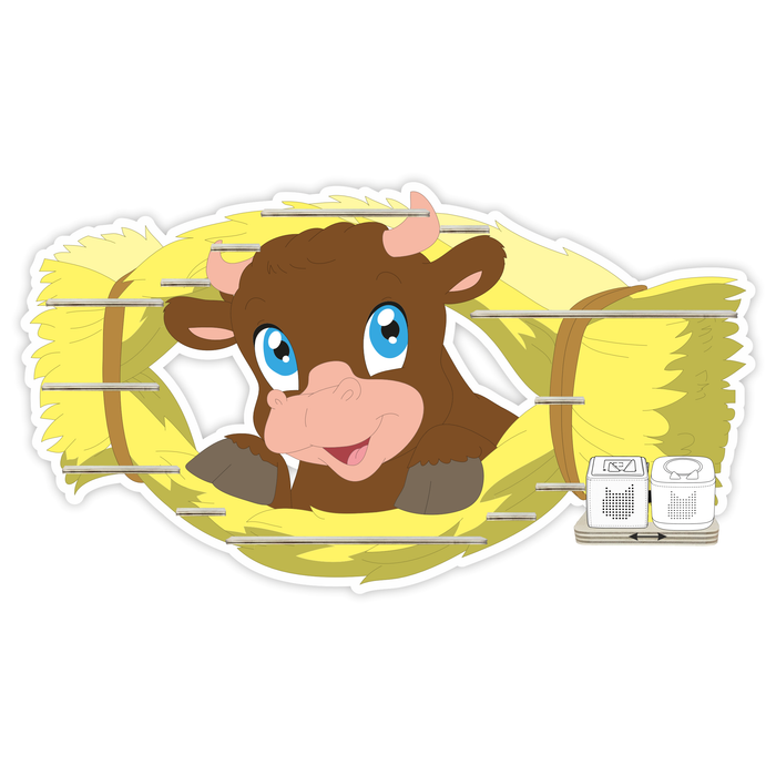 Regal für Musikbox - Heubulle