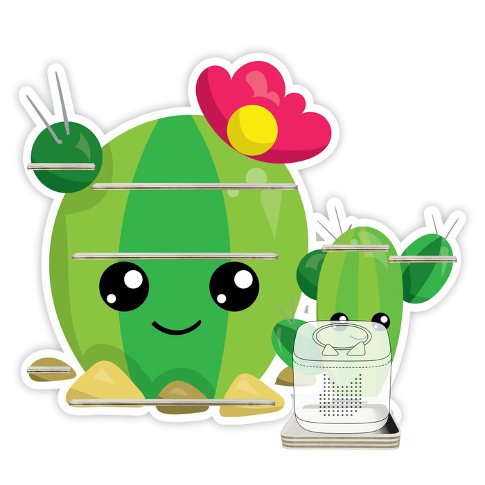 Regal für Musikbox - Kakteenwüste