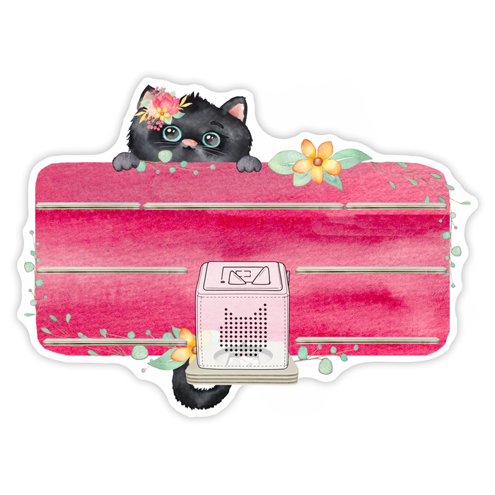 Regal für Musikbox - Katzenbanner 1