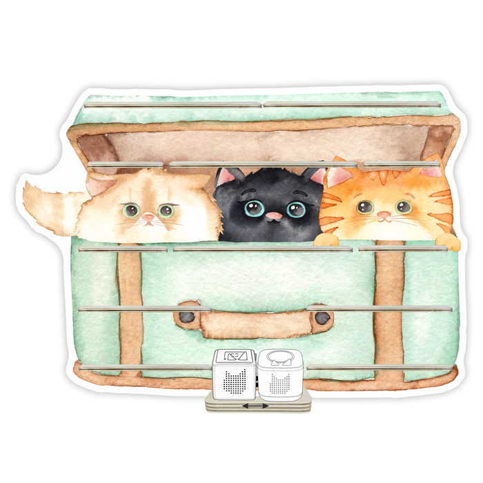 Regal für Musikbox - Katzenkorb 1