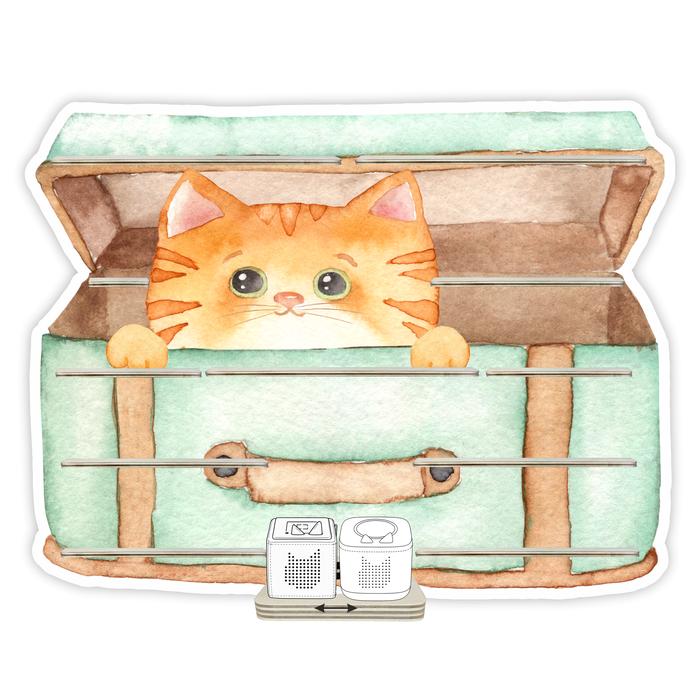 Regal für Musikbox - Katzenkorb 2