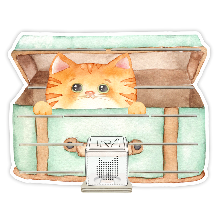 Regal für Musikbox - Katzenkorb 2