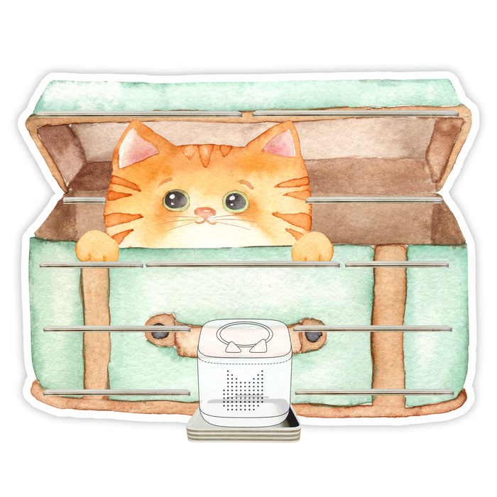 Regal für Musikbox - Katzenkorb 2