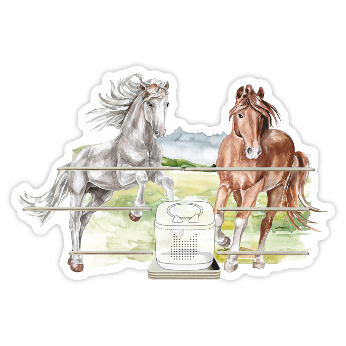 Regal für Musikbox - Pferdekoppel