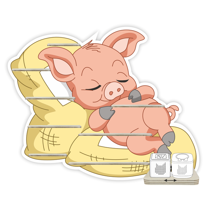 Regal für Musikbox - Schlafschwein 2