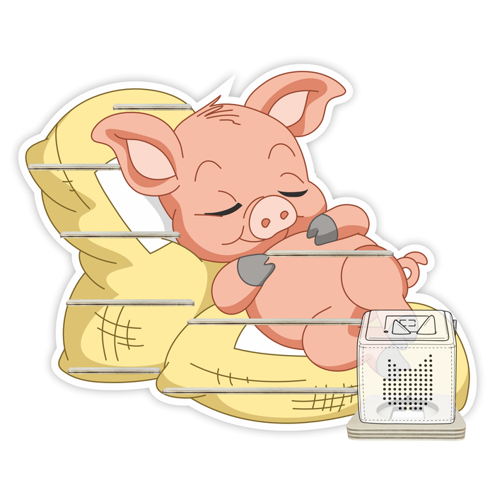Regal für Musikbox - Schlafschwein 2