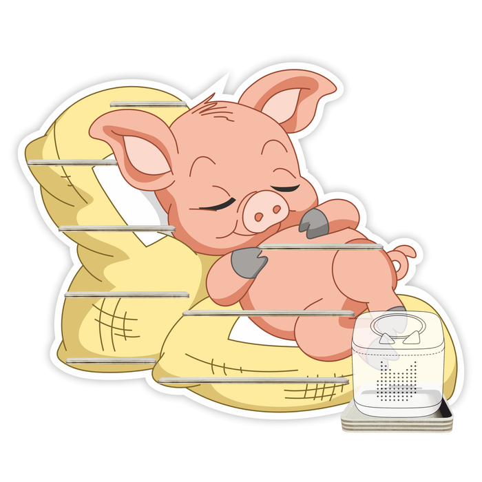 Regal für Musikbox - Schlafschwein 2