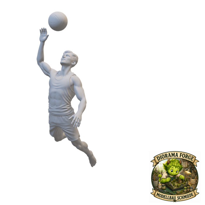 Strand Volleyballspieler - (DF-843)